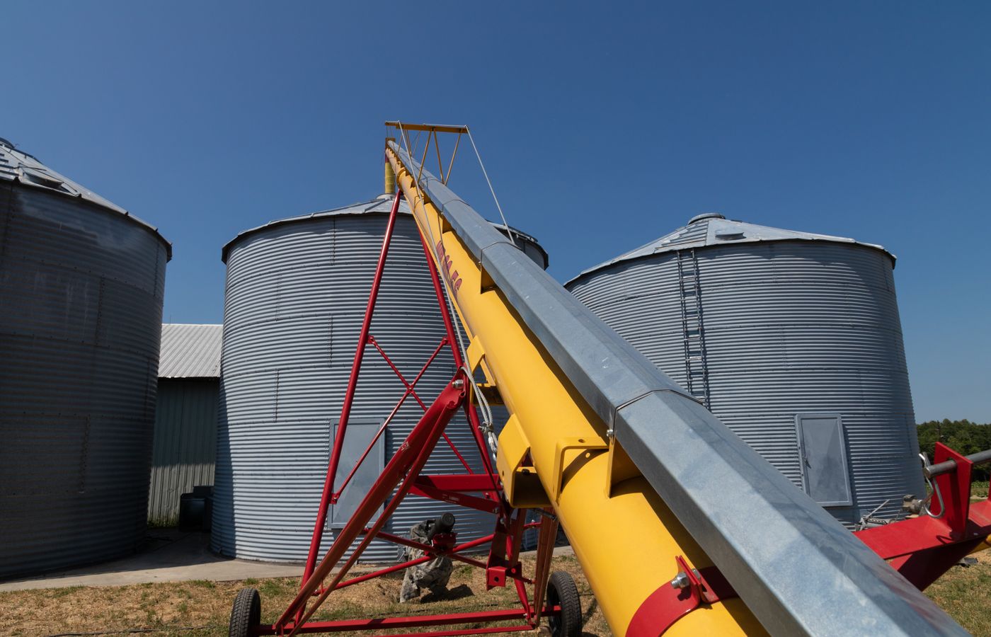 Grain silos and conveyor at an agricultural elevator